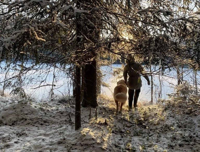 Koirarotujen sukupuu paljastaa uusia asioita ja tarkentaa olemassa olevaa tietoa