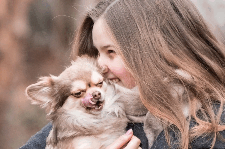 Leperteletkö sinäkin koirallesi? Kannattaisi!