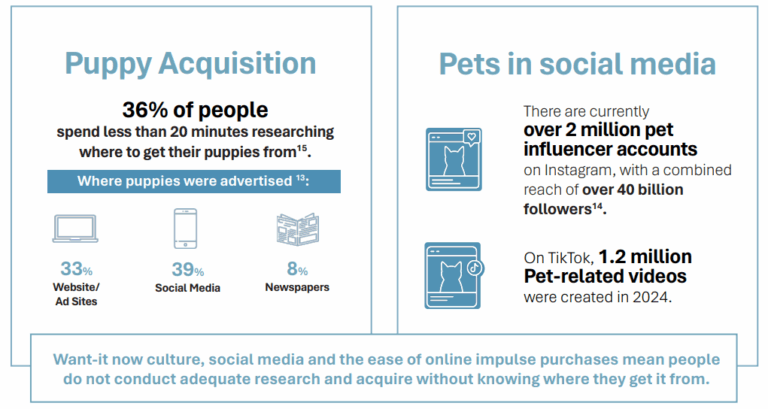 Royal Caninin perustama koalitio vaatii muutosta koirien ja kissojen jalostuskäytäntöihin